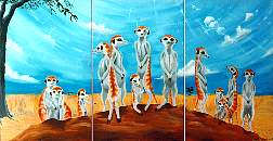 Meerkats triptique 