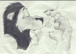 Scar & the mouse